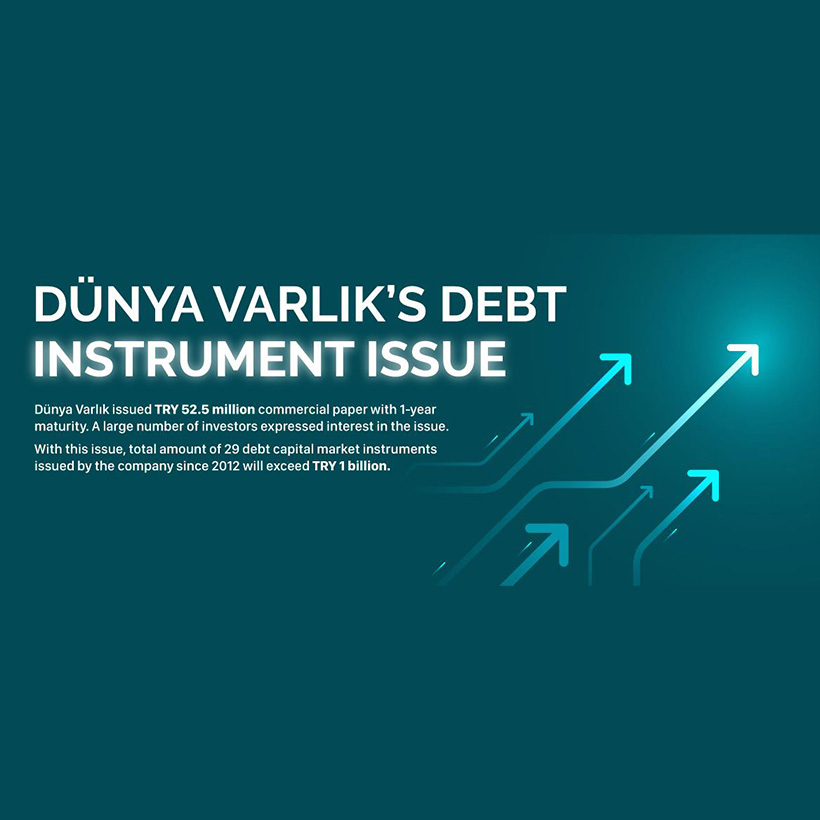 DEBT INSTRUMENT ISSUE